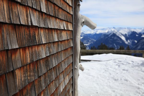 Cedar Siding Repair in Bismarck