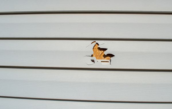 Siding Hole Repair in Bismarck